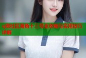 q宠社区海角十三号全攻略与实用技巧详解