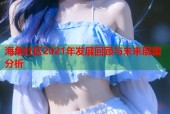 海角社区2021年发展回顾与未来展望分析