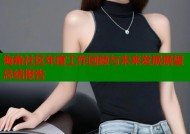 海角社区年度工作回顾与未来发展展望总结报告