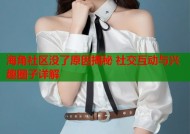 海角社区没了原因揭秘 社交互动与兴趣圈子详解