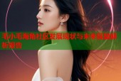 毛小毛海角社区发展现状与未来展望解析报告