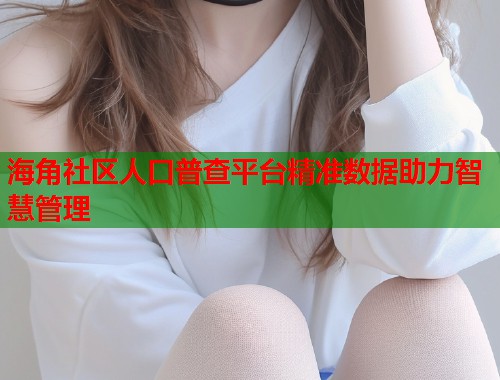 海角社区人口普查平台精准数据助力智慧管理  第1张