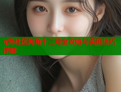 q宠社区海角十三号全攻略与实用技巧详解  第2张