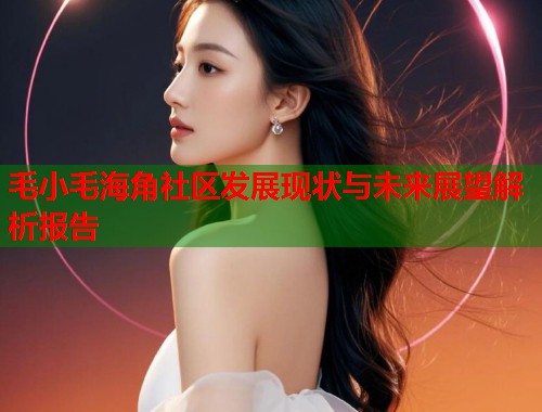 毛小毛海角社区发展现状与未来展望解析报告  第1张