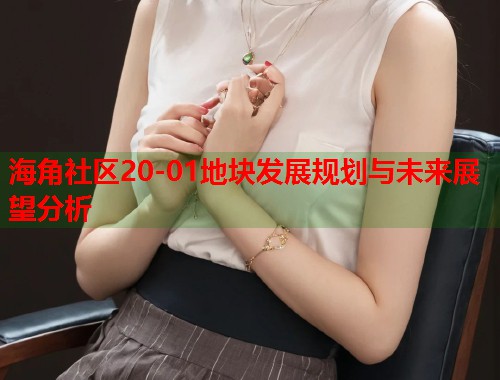 海角社区20-01地块发展规划与未来展望分析  第2张