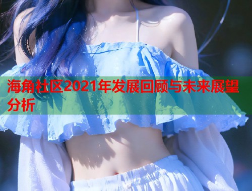 海角社区2021年发展回顾与未来展望分析  第1张