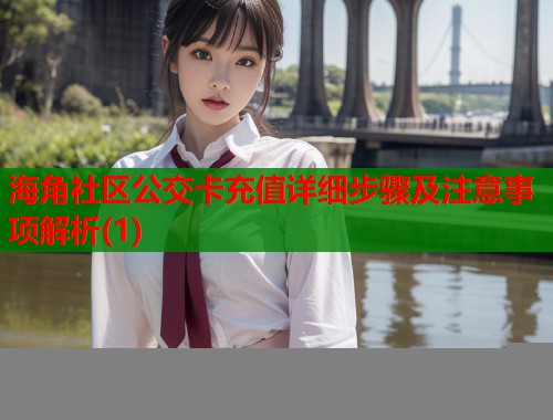 海角社区公交卡充值详细步骤及注意事项解析(1)  第1张