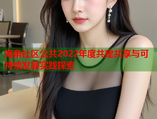 海角社区公共2022年度共建共享与可持续发展实践探索  第1张