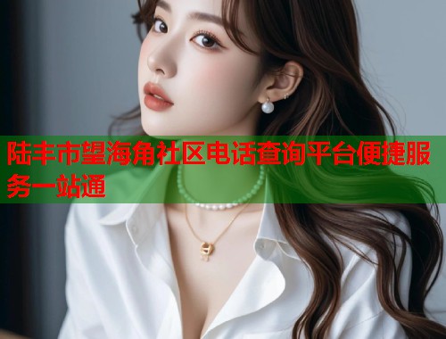 陆丰市望海角社区电话查询平台便捷服务一站通  第1张