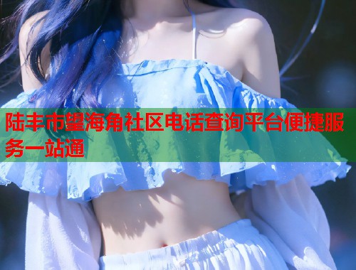 陆丰市望海角社区电话查询平台便捷服务一站通  第2张