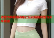 诸暨市枫桥镇海角社区发展新风貌与未来展望