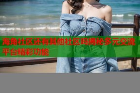 海角社区还有其他社区吗揭秘多元交流平台精彩功能