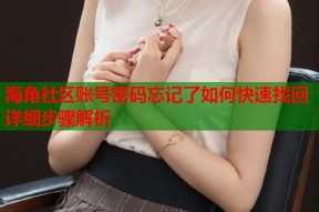 海角社区账号密码忘记了如何快速找回详细步骤解析