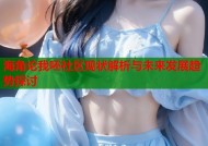 海角论我呸社区现状解析与未来发展趋势探讨