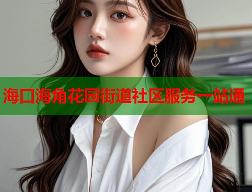 海口海角花园街道社区服务一站通  第2张