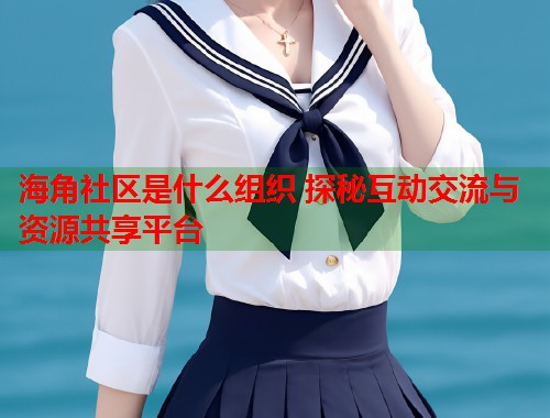 海角社区是什么组织 探秘互动交流与资源共享平台  第1张