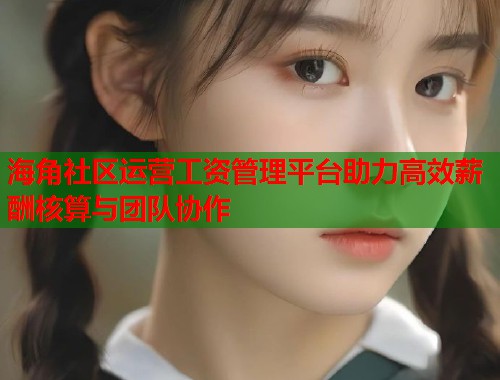 海角社区运营工资管理平台助力高效薪酬核算与团队协作  第1张