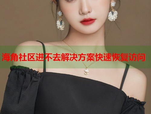 海角社区进不去解决方案快速恢复访问  第1张