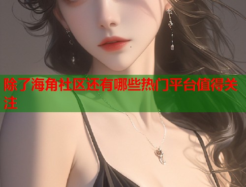 除了海角社区还有哪些热门平台值得关注  第2张